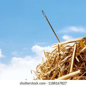 Closeup of Needle in haystack on background