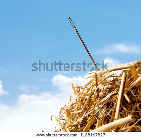 Closeup of Needle in haystack on background