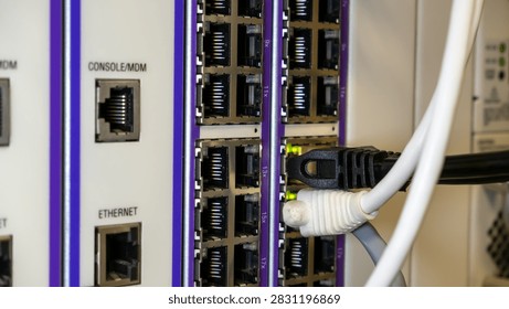Close-up of a network switch panel showing multiple RJ45 ports, console and ethernet connections, with black and white patch cables plugged in and green activity LEDs glowing.