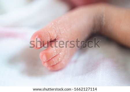 Close-up New Born Baby Feet on White Blanket