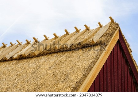 Closeup of a new thatched roof of a historic house, traditional wooden strengthening of the roof ridge, Denmark, Europe