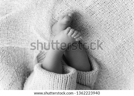 Similar – Baby girl wrapped in a blanket