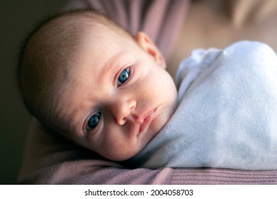 Close-up of a newborn baby with no hair and blue eyes lying on the mother's hand and looking straight. The child is wrapped in white clothes. U-turn of the head-full face.