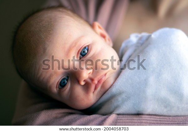 Closeup Newborn Baby No Hair Blue Stock Photo 2004058703 Shutterstock