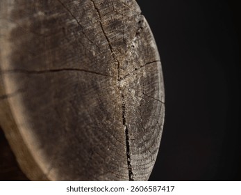 
Close-up of a nice trunk