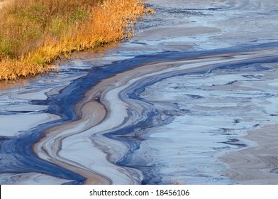 Closeup Of An Oil Slick In Water With Fall Colors In The Grass On The Shore