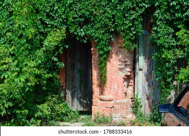 Close-up - The Old Ajar Door To The House, Overgrown With Green Ivy, You Can See The Mirror Of The Car Standing Next To