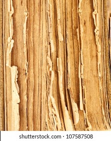 Closeup Of Old Book Pages Texture.