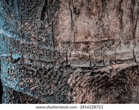 Close-up of an old coconut tree bark featuring cracked wood texture, weathered surface, and natural earthy colors. Ideal for rustic backgrounds, nature concepts, design projects, and abstract texture collections.