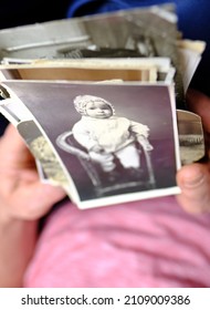 Close-up Of Old Male Hands Holding Retro Family Photos Of 1960-1965, Vintage Monochrome Photographs In Sepia Color, Genealogy Concept, Ancestral Memory, Family Ties, Childhood Memories