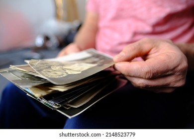 Close-up Of Old Male Hands Holding Retro Family Photos Of 1960-1965, Vintage Monochrome Photographs In Sepia Color, Genealogy Concept, Ancestral Memory, Family Ties, Childhood Memories