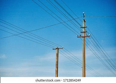 Closeup of old power poles on a clear summer day.	