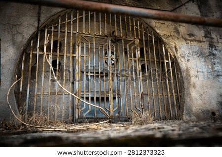 Close-up of an old, rusted iron gate set into an arched concrete opening of an abandoned building. Flaking paint, corrosion and circular vents behind the bars create a weathered, gritty texture. Dry grasses and a foreground twig add depth and an overgrown, neglected atmosphere.