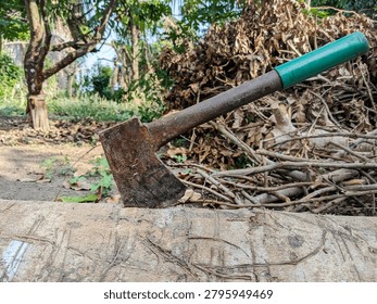 A close-up of an old, rusty axe head embedded into a large fallen tree log outdoors.