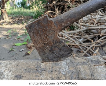 A close-up of an old, rusty axe head embedded into a large fallen tree log outdoors.