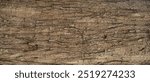 Close-up old tree bark. Natural patterns and rough texture. Organic material ideal for eco-friendly design projects emphasizing sustainability and carbon neutrality. Backdrop for eco-conscious project