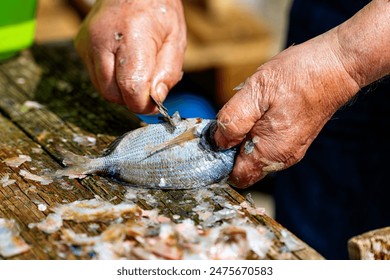 Close-up of an older person's hands scaling a fresh fish on a wooden surface, with fish scales scattered around. - Powered by Shutterstock