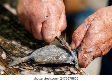  Close-up of an older person's hands scaling a fresh fish on a rustic wooden table, with fish scales scattered around. - Powered by Shutterstock