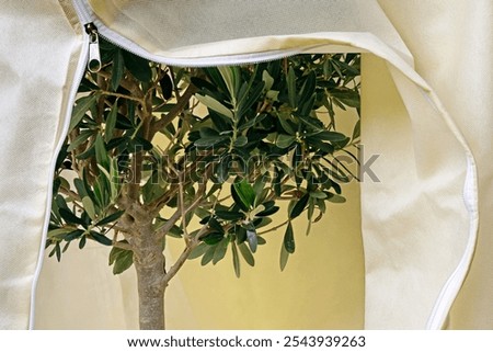 Similar – Image, Stock Photo hibernation Garden