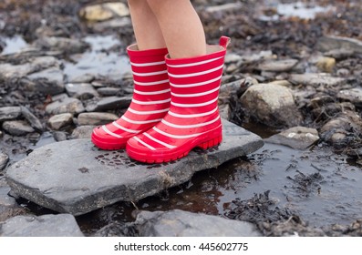 closeup on bright striped red kids rainy boots standing on black stone in shallow sea water 
