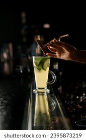 close-up on cocktail glass with citrus liquid and woman's hand holding tweezers with cinnamon stick above it. Bartender girl prepares warming citrus drink with spices behind the bar - Shutterstock ID 2395873219