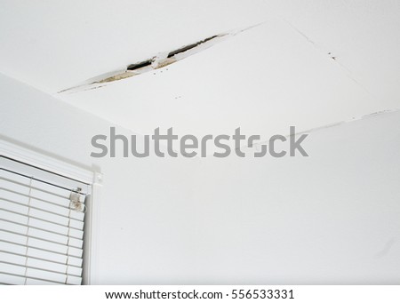 Closeup on a crack in a white ceiling of  a generic, unidentified old house, resulting from water leak, showing a bulged panel that in danger of falling off 