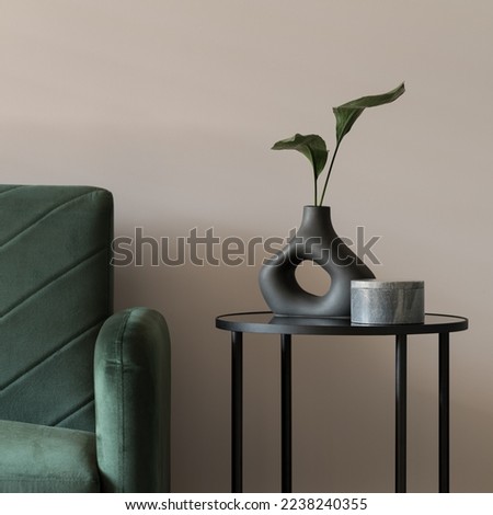 Close-up on decorative black vase with plant and gray box on modern black side table next to green sofa