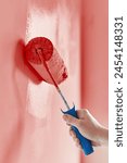 Close-up on the hand of a man who is painting a wall hot pink with a paint roller. Painting apartment, renovating with hot pink color paint.