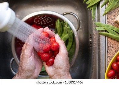 Close-up On The Hands Of Woman Washing Small Red Tomatoes Under A Jet Of Water In The Kitchen's Sink.