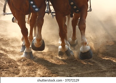 Close-up on the hooves of draft horses pulling a wagon through a dusty field.