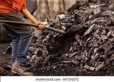 Closeup On Shovel In Coal Manipulated By A Coal Worker