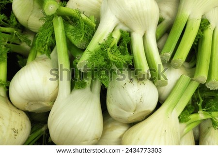Close-up on a stack of Florence fennel bulbs for sale on a market stall.
