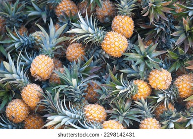 Close-up on a stack of pineapples (Ananas Victoria) for sale on a market stall in Reunion Island.