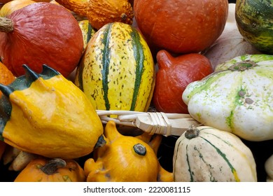 Close-up on a stack of various Cucurbits on a market stall.