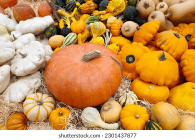 Close-up on a stack of various Cucurbits on a market stall.