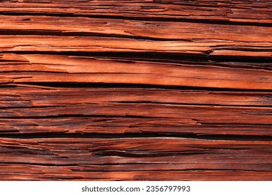 Close-up on the texture of sequoia bark. Background