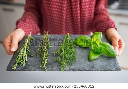 Closeup on young housewife showing fresh spices herbs on stone substrate
