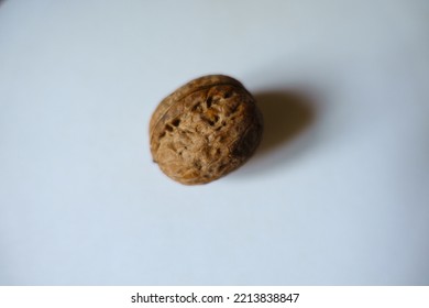 Closeup Of One Brown Rounded Wrinkly Fruit Of Persian Walnut