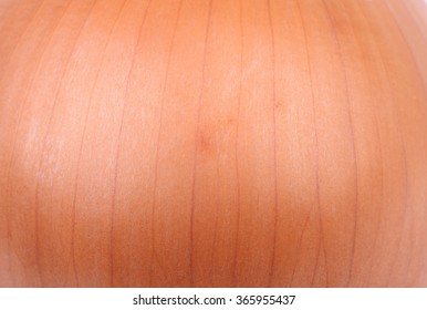 A close-up of the onion skin texture 