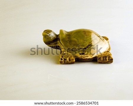 Close-up of a onyx turtle bringing good luck on a white background.