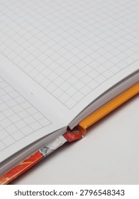 Close-up of an open checkered notebook or copybook on a white background