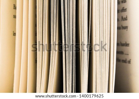 closeup of opened book showing pattern of pages upstanding.