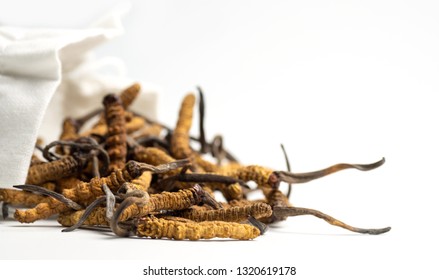 Closeup Of Ophiocordyceps Sinensis Or Mushroom Cordyceps In White Cloth Bag On Isolated Background. Medicinal Properties In The Treatment Of Diseases. National Organic Medicine.