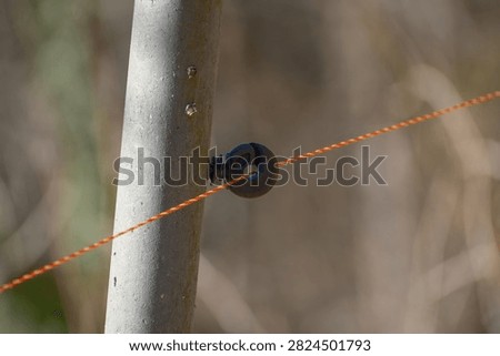 Close-up of orange cable strung between concrete posts. Small black clamp secures wire against pole. Blurry grass background suggests rural or outdoor setting. Useful for agriculture, fencing