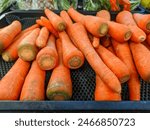 A close-up of an orange carrot reveals its vibrant hue and intricate texture. The carrot