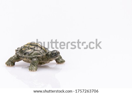 close-up of a orange plastic tortoise isolated on a white background