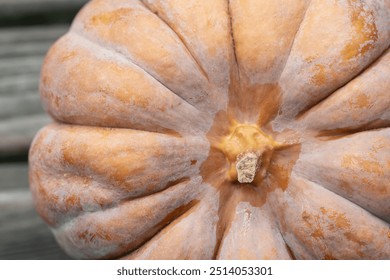 Close-up of an orange-coloured nutmeg pumpkin. The pumpkin is photographed from above. It lies on a background of weathered wood. - Powered by Shutterstock