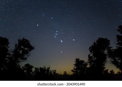 closeup Orion constellation on night starry sky above forest silhouette, night natural landscape
