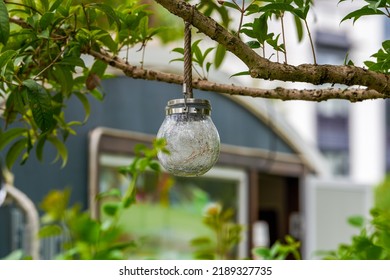 Closeup Of An Outdoor Chandelier Decorated With Broken Glass