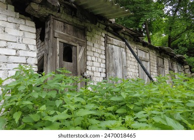 Close-up of overgrown abandoned brick sheds with rustic wooden doors. The scene showcases the neglected charm and weathered structures enveloped by lush greenery, creating a tranquil yet eerie atmosph - Powered by Shutterstock